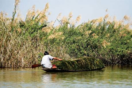 Inle Lake – Dưới bóng mặt trời Inle Lake – Dưới bóng mặt trời