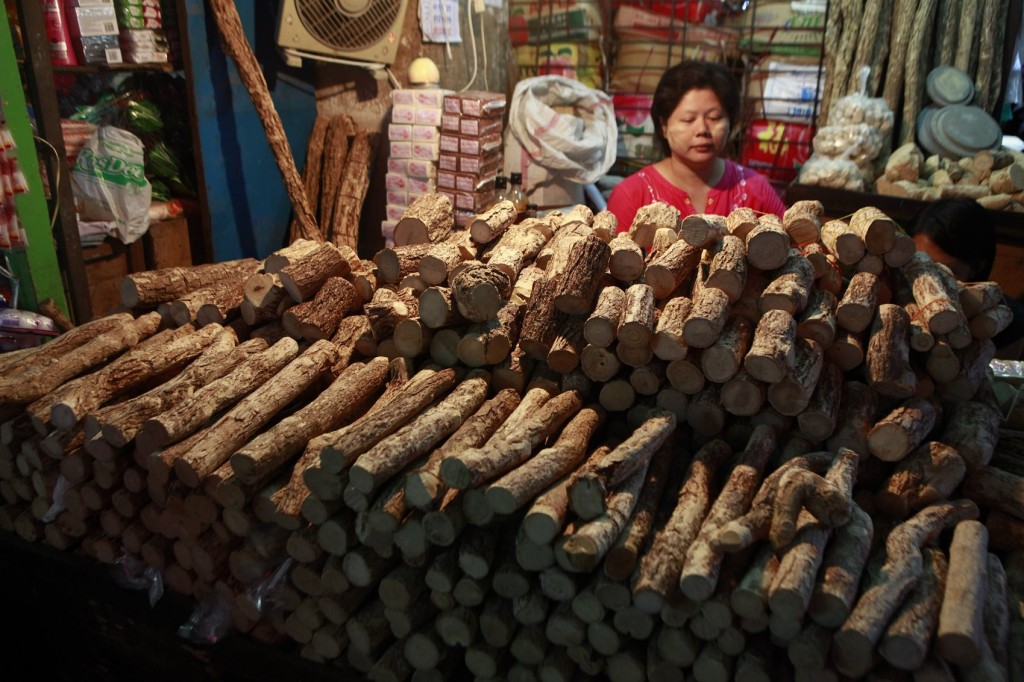 Chiêm ngưỡng tập quán Thanakha của người dân Myanmar - Ảnh 2