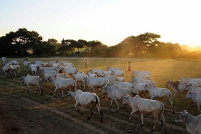 5 Kinh Nghiệm Khám Phá Myanmar Đáng Biết 5 Kinh Nghiệm Khám Phá Myanmar Đáng Biết