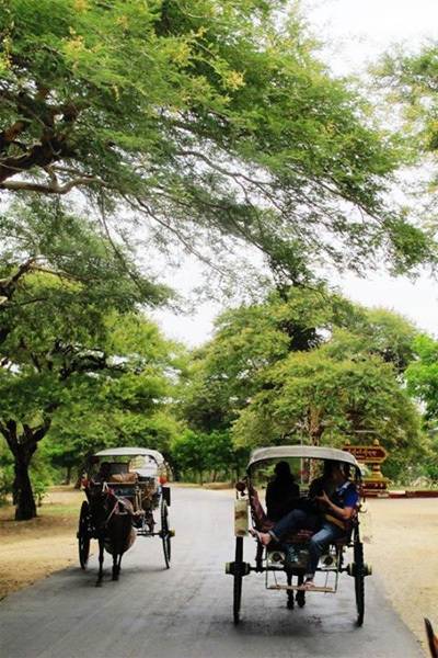 Từ Yangon Sôi Động Đến Bagan Yên Bình - Hành Trình Đa Sắc Màu ở Myanmar Từ Yangon Sôi Động Đến Bagan Yên Bình - Hành Trình Đa Sắc Màu ở Myanmar