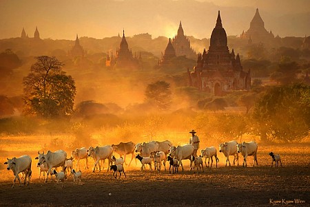 Lý do gì khiến Myanmar hấp dẫn du khách Việt?