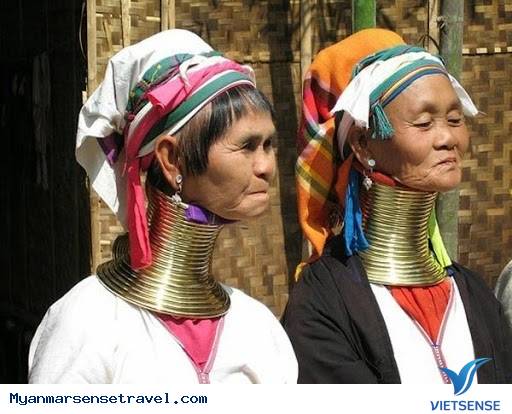 Những người phụ nữ cổ dài Padaung Những người phụ nữ cổ dài Padaung
