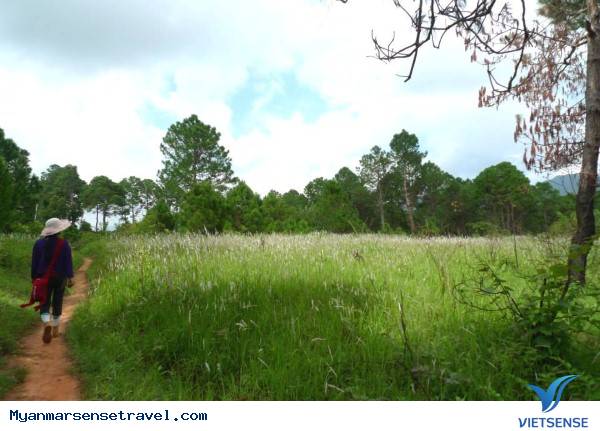 Buổi chiều tại Kalaw - Ảnh 1