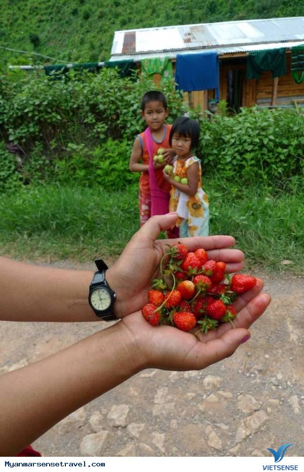 Buổi sáng tại Kalaw
