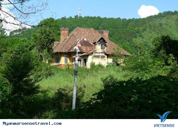 Kalaw mang hình dáng của một Đà Lạt nguyên sơ - Ảnh 2