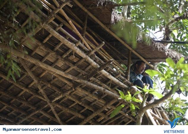 Kyat Chuang - ngôi làng trên cây ở Myanmar - Ảnh 1