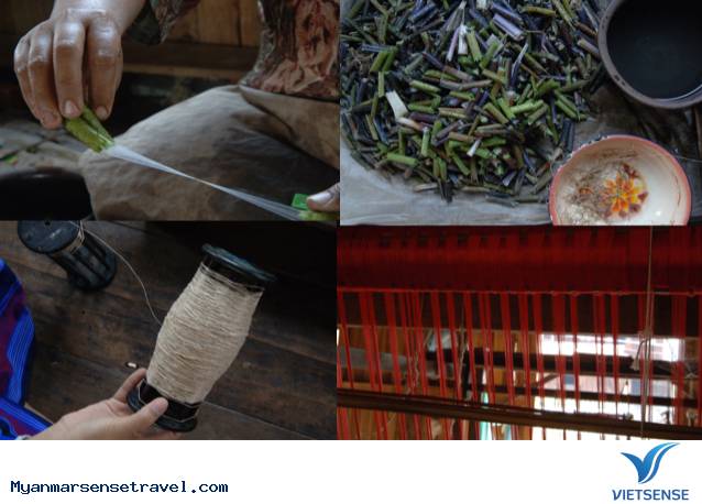 Khám phá làng trồng sen làm lụa tại Myanmar - Ảnh 3 Khám phá làng trồng sen làm lụa tại Myanmar - Ảnh 3