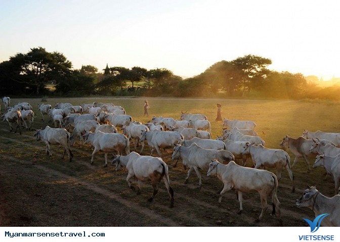 5 Kinh Nghiệm Khám Phá Myanmar Đáng Biết - Ảnh 1