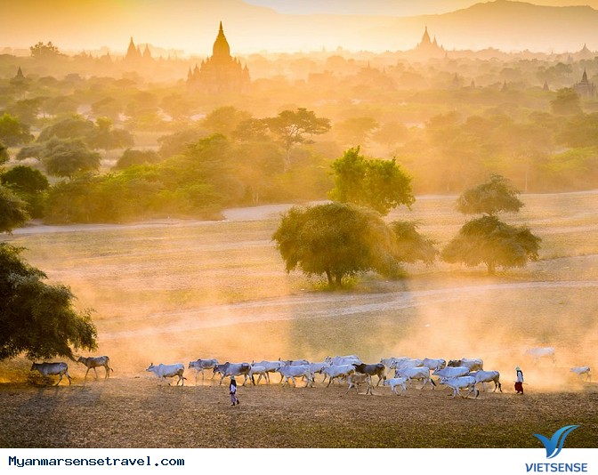 Cảm nhận nhịp sống nhanh và chậm ở Myanmar - Ảnh 6
