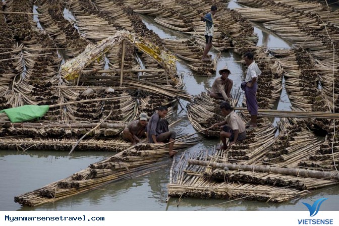 Chiêm Ngưỡng Bộ Ảnh Đẹp Vượt Thời Gian Của Đất Nước Myanmar - Ảnh 2