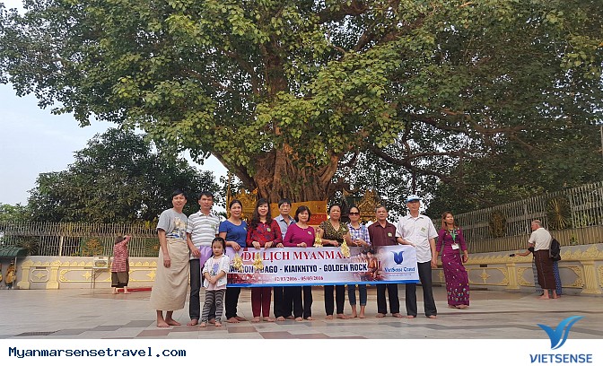 Hình Ảnh Đoàn ngày 02/03 - 05/03 - Ảnh 3