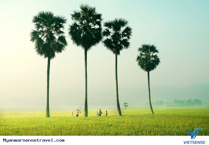 Inle thơ mộng và Bagan cổ kính - Ảnh 1 Inle thơ mộng và Bagan cổ kính - Ảnh 1