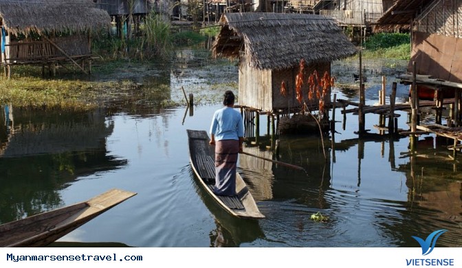 Khám phá làng trồng sen làm lụa tại Myanmar - Ảnh 1 Khám phá làng trồng sen làm lụa tại Myanmar - Ảnh 1