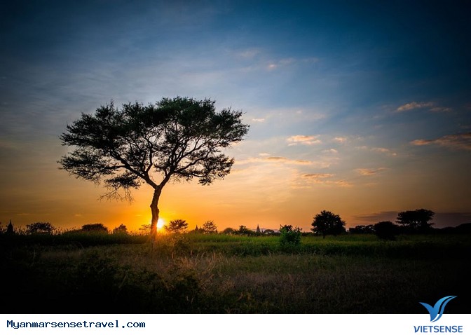 Day 5: Bagan - Ảnh 2