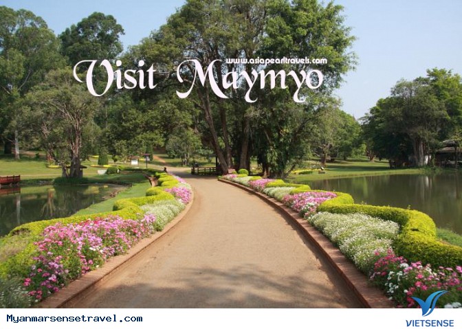 Bách thảo Maymyo - Ảnh 1 Bách thảo Maymyo - Ảnh 1