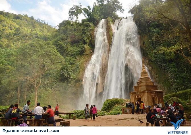 Bách thảo Maymyo - Ảnh 2 Bách thảo Maymyo - Ảnh 2