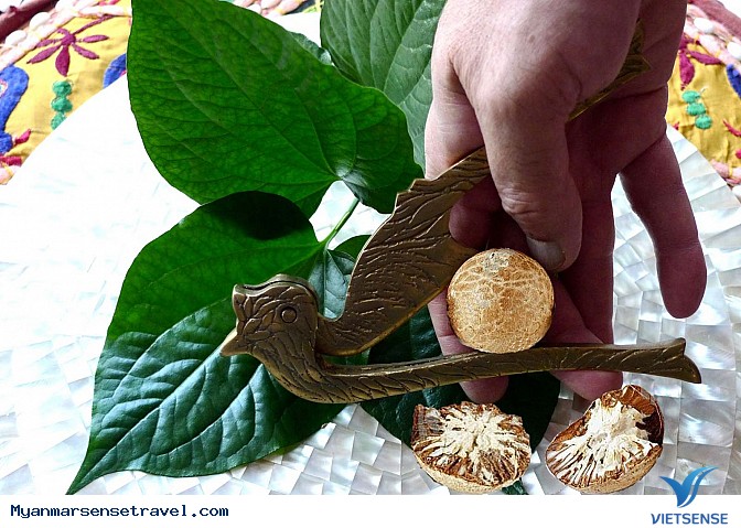 Tìm hiểu văn hóa nhai trầu của người dân Myanmar - Ảnh 2
