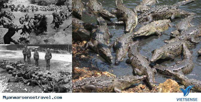 Top 10 địa điểm nổi tiếng đẹp nhất ở Myanmar - Ảnh 2