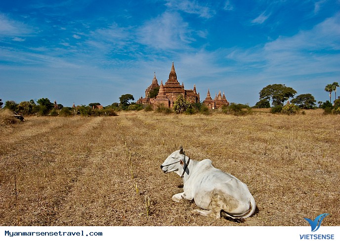 Phần 2: Đắm chìm trong bóng tối và ánh sáng Myanmar - Ảnh 3 Phần 2: Đắm chìm trong bóng tối và ánh sáng Myanmar - Ảnh 3