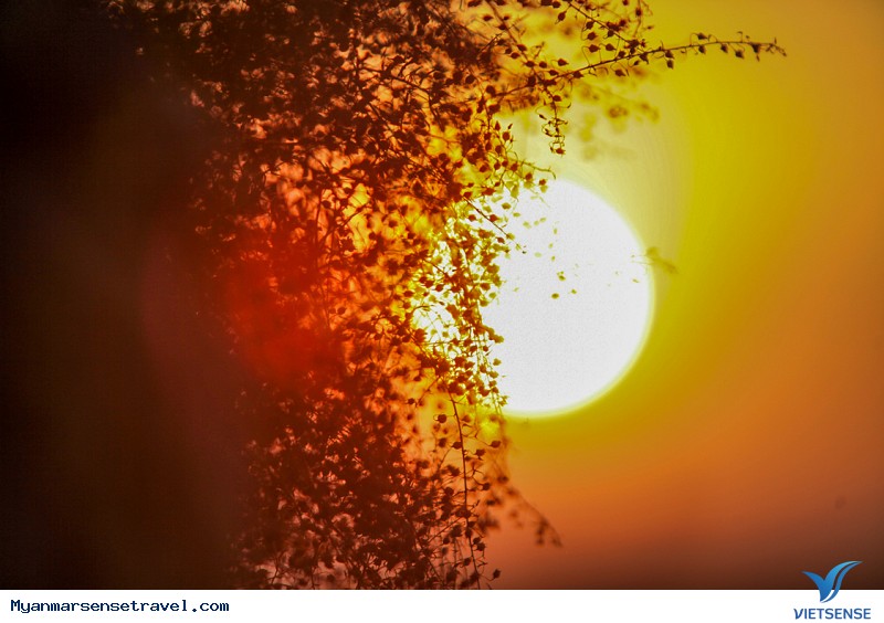 Khám Phá Bình Minh Huyền Ảo Nơi Thánh Địa Bagan - Ảnh 6 Khám Phá Bình Minh Huyền Ảo Nơi Thánh Địa Bagan - Ảnh 6