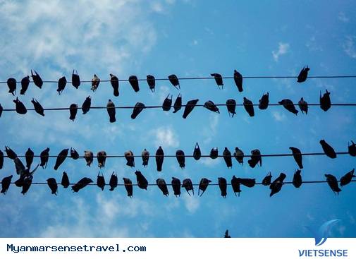 Khám phá đất nước Myanmar đầy thú vị mà không tốn quá nhiều chi phí - Ảnh 10 Khám phá đất nước Myanmar đầy thú vị mà không tốn quá nhiều chi phí - Ảnh 10