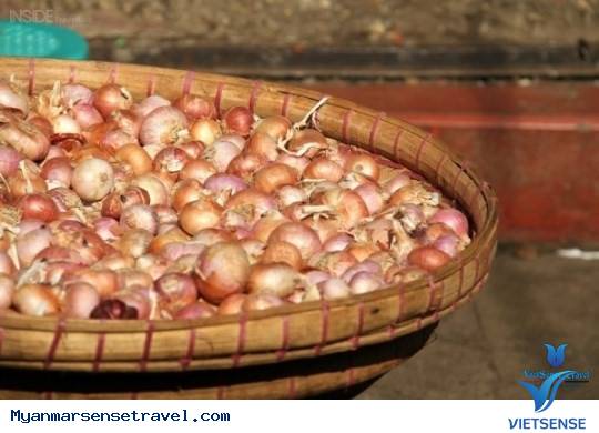 DẠO MỘT VÒNG CÁC KHU CHỢ LỀ ĐƯỜNG Ở YANGON, MYANMAR DẠO MỘT VÒNG CÁC KHU CHỢ LỀ ĐƯỜNG Ở YANGON, MYANMAR