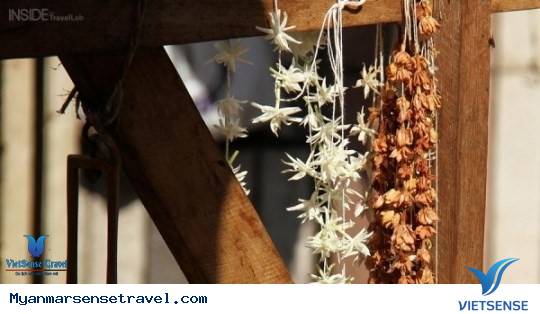 DẠO MỘT VÒNG CÁC KHU CHỢ LỀ ĐƯỜNG Ở YANGON, MYANMAR DẠO MỘT VÒNG CÁC KHU CHỢ LỀ ĐƯỜNG Ở YANGON, MYANMAR