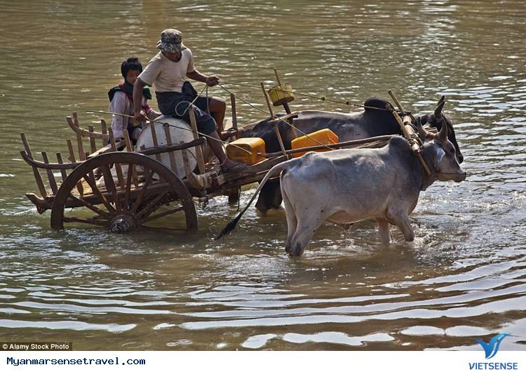 Đến Thăm Ngôi Làng Có 1000 Ngọn Tháp Cổ Ở Myanmar - Ảnh 6