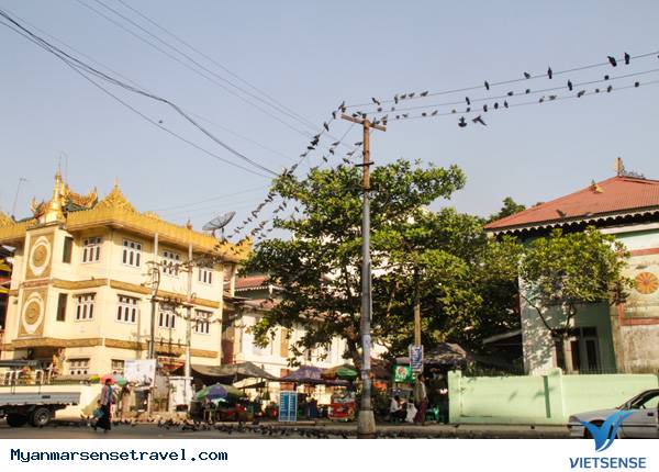 Đi tìm Vườn phương Đông Yangon Đi tìm Vườn phương Đông Yangon