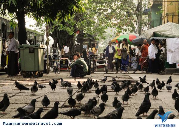 Đi tìm Vườn phương Đông Yangon Đi tìm Vườn phương Đông Yangon