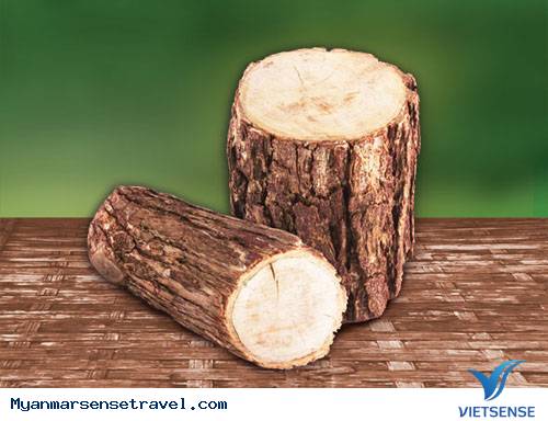 MYANMAR VÀ NHỮNG TRUYỀN THỐNG LẠ