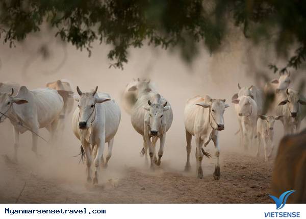Burma - Sống chậm lại và thưởng thức cuộc sống đích thực - Ảnh 13