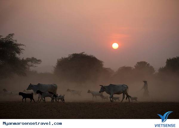 Burma - Sống chậm lại và thưởng thức cuộc sống đích thực - Ảnh 15