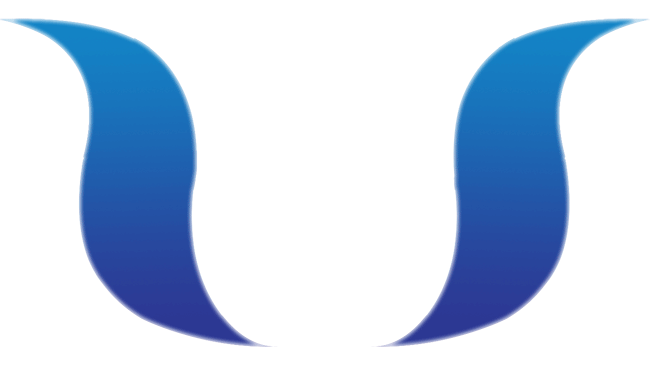 Ý Nghĩa Logo Và Tên Thương Hiệu Vietsense - Ảnh 1