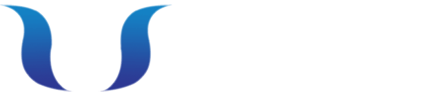 Ý Nghĩa Logo Và Tên Thương Hiệu Vietsense - Ảnh 2